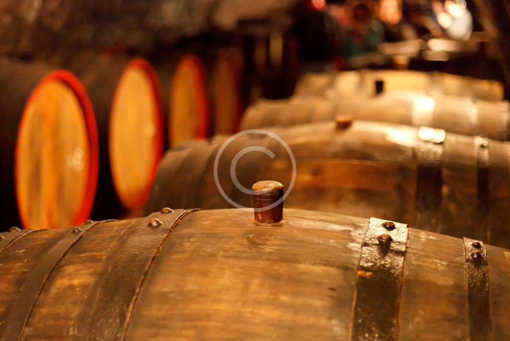 Image 7 1024x684